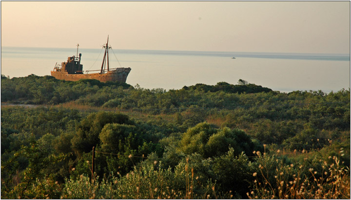 cargo  dimitrios 9