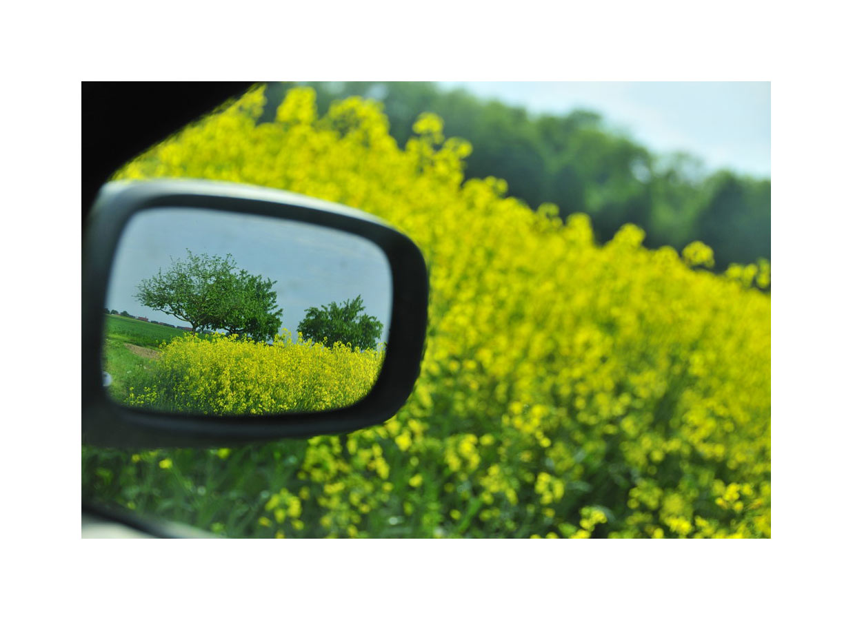 jaune