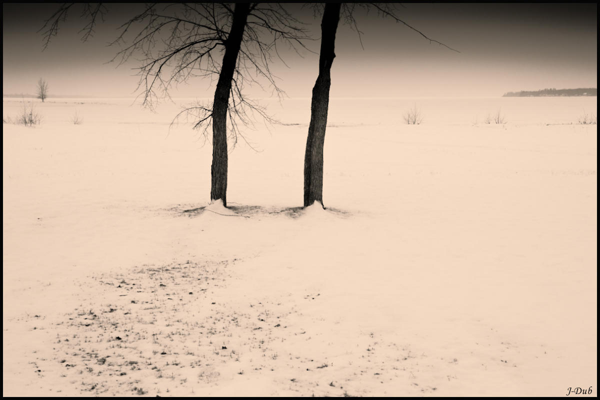 Deux solitudes/Two Solitudes