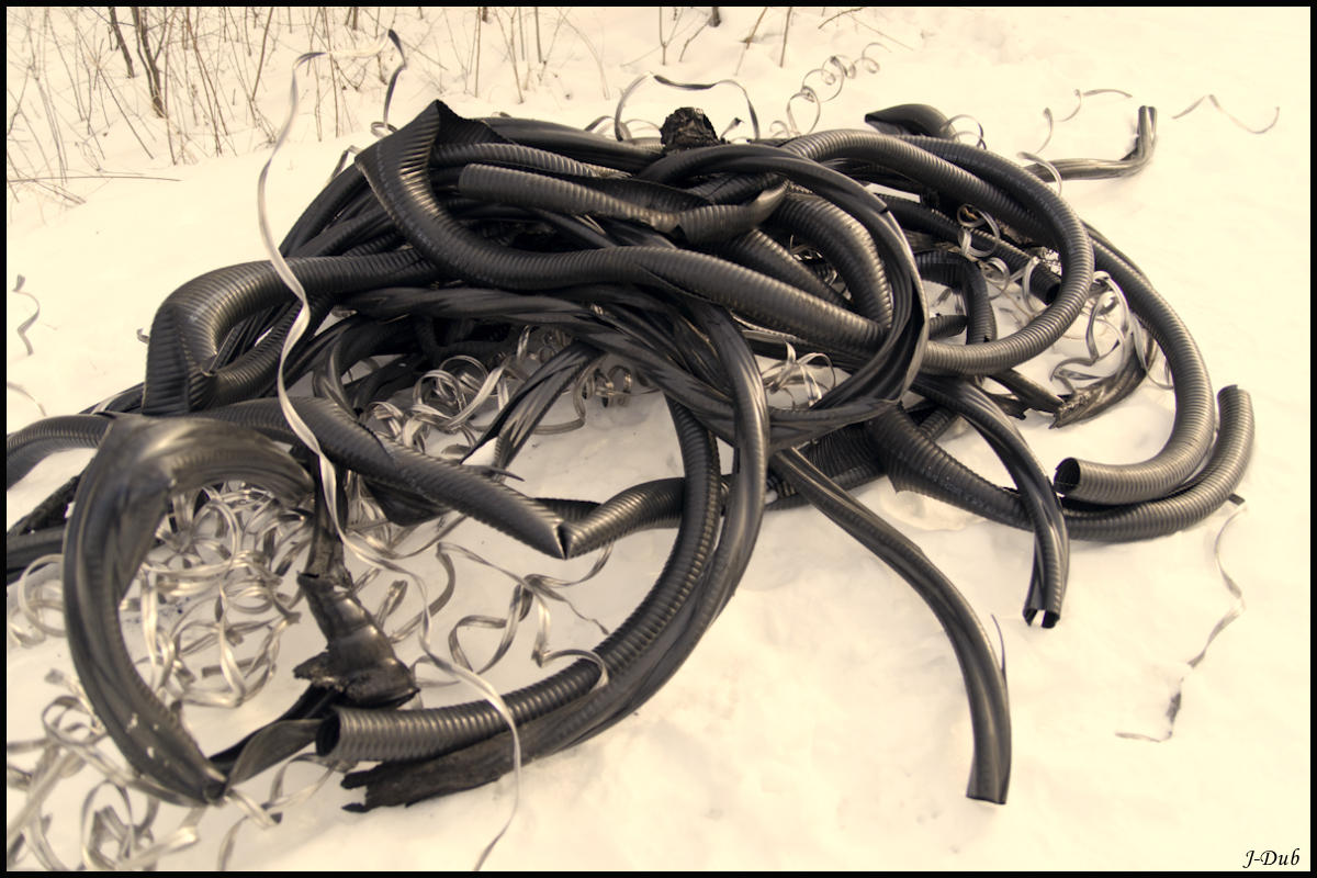 Nouilles excrables/Execrable Noodles
