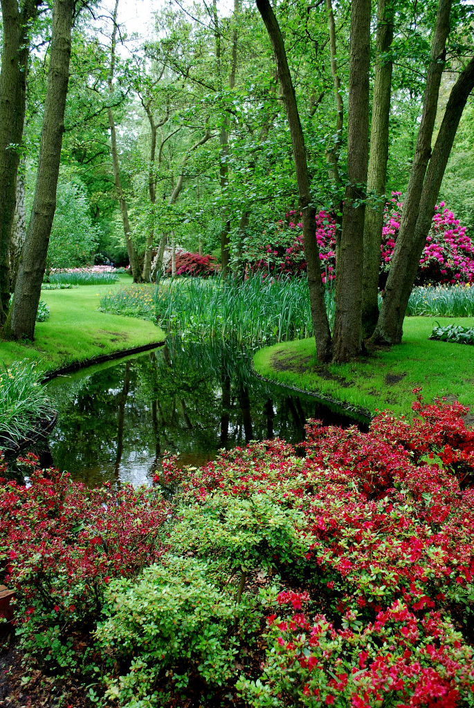 Kuekenhof061.JPG