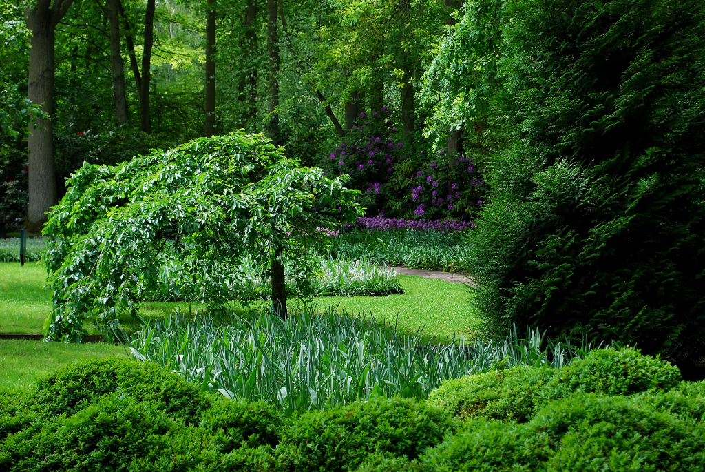 Kuekenhof074.JPG