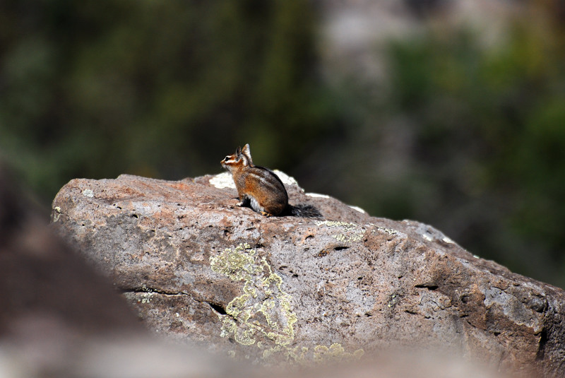 DSC_2626.jpg