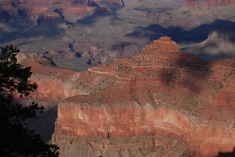 DSC_2651.jpg
