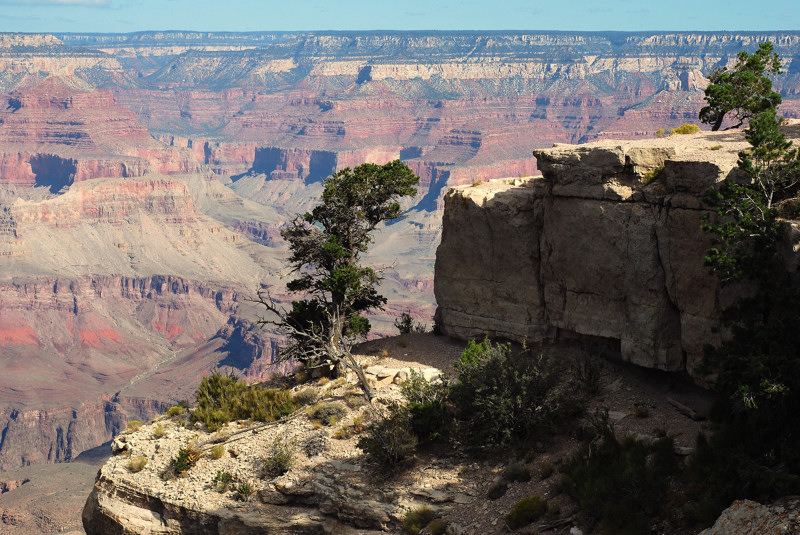 DSC_2750.jpg