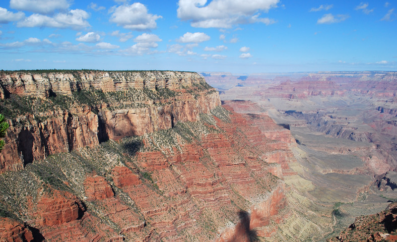 DSC_2793.jpg