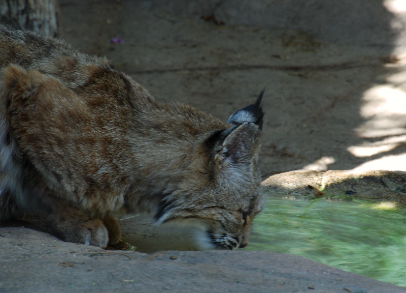 DSC_3019.jpg