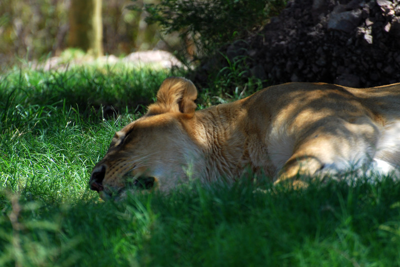 DSC_3089.jpg