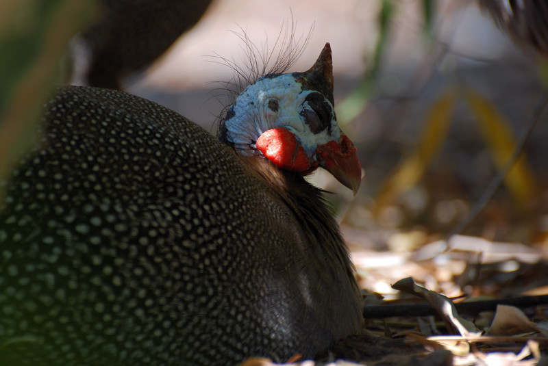 DSC_3171.jpg