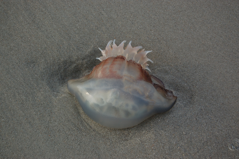MB0106.JPG