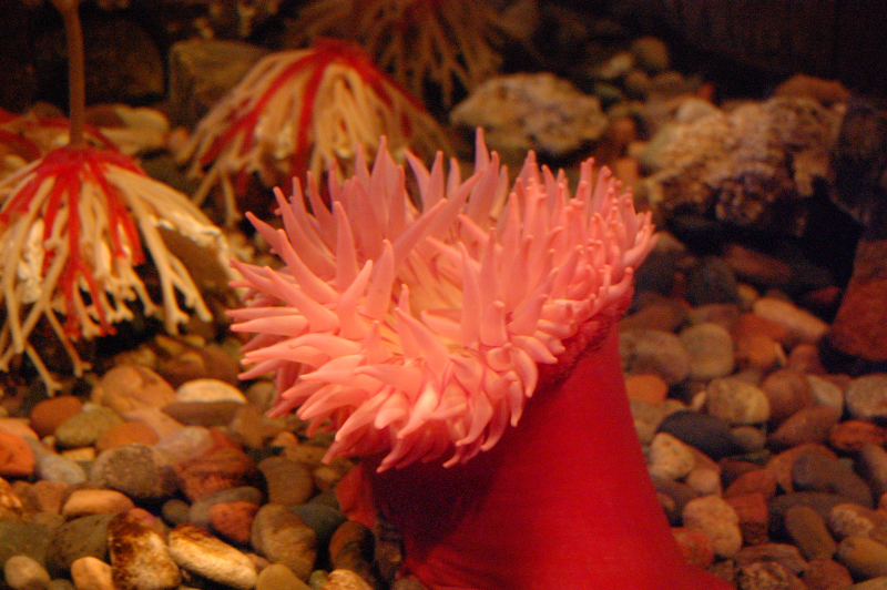 MB0303.JPG