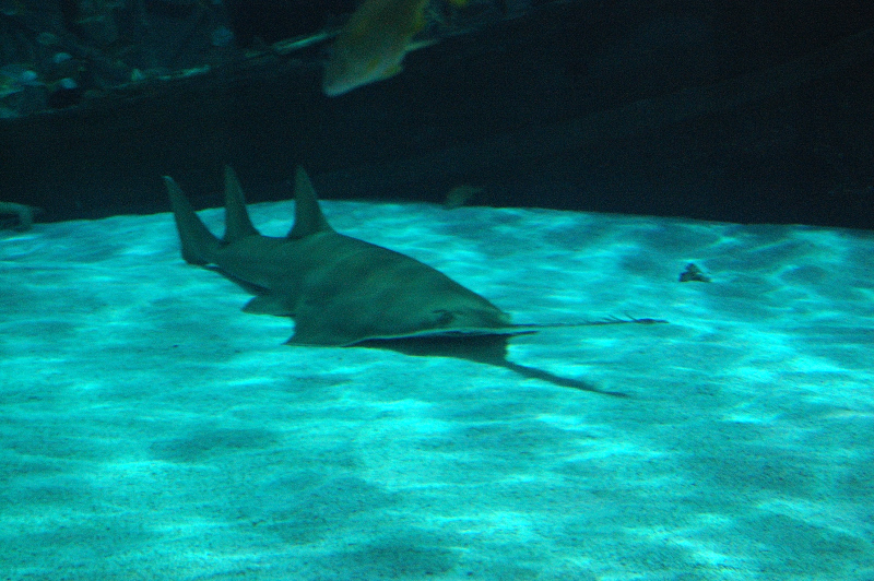 MB0320.JPG