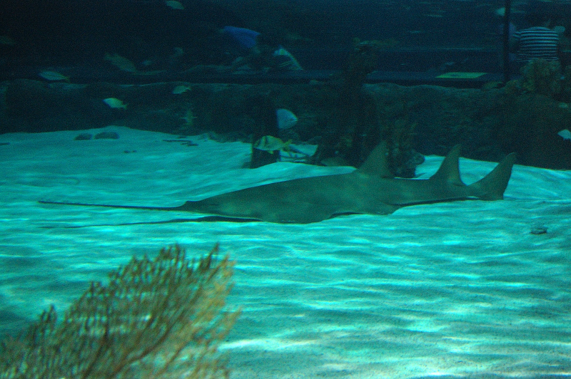 MB0325.JPG