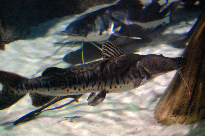 MB0335.JPG
