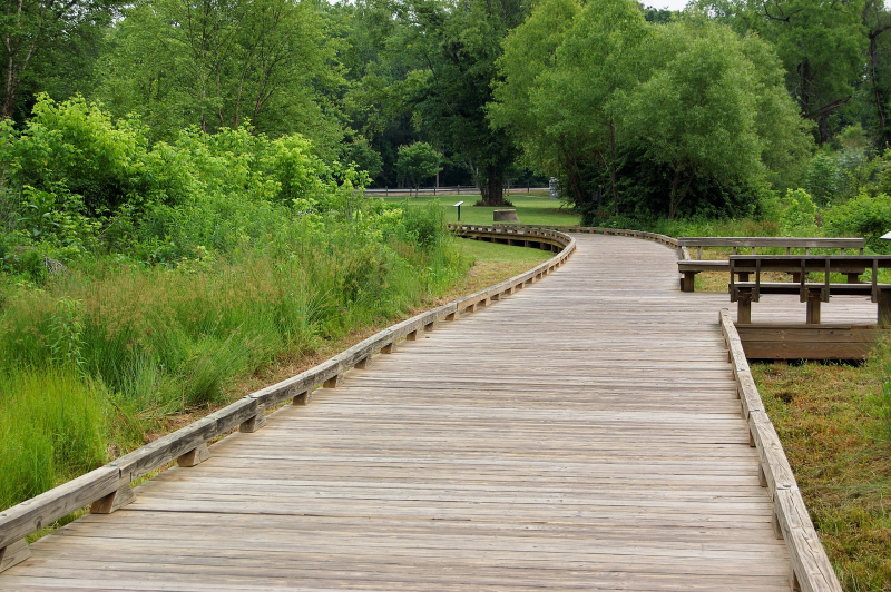 Suwanee Greenway trail head