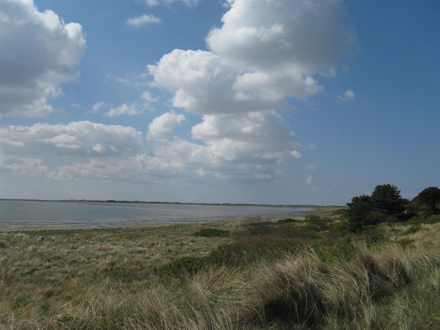 Zicht op waddenzee