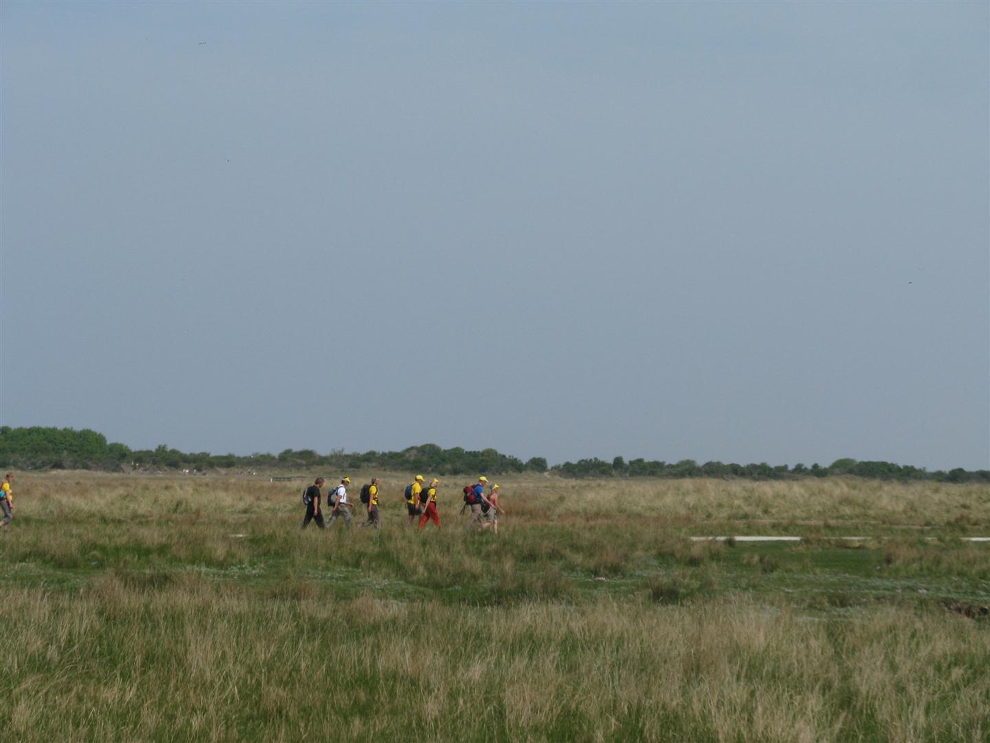 Duinen van Schiermonnikoog