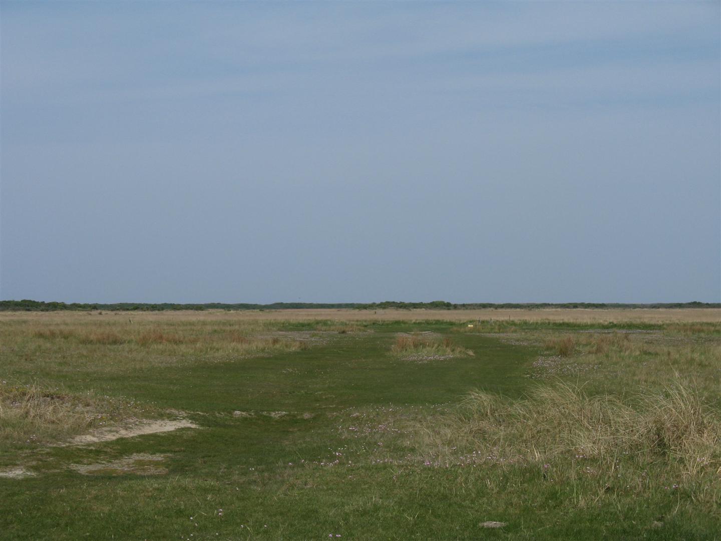 Duinen gesloten vanwege broedseizoen