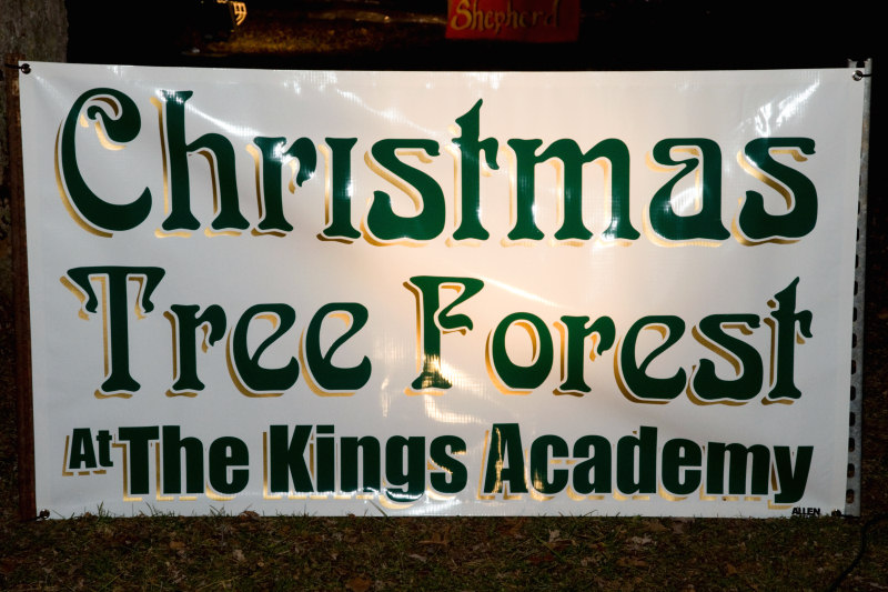 JPG CS Tree Forest Sign-2365.jpg