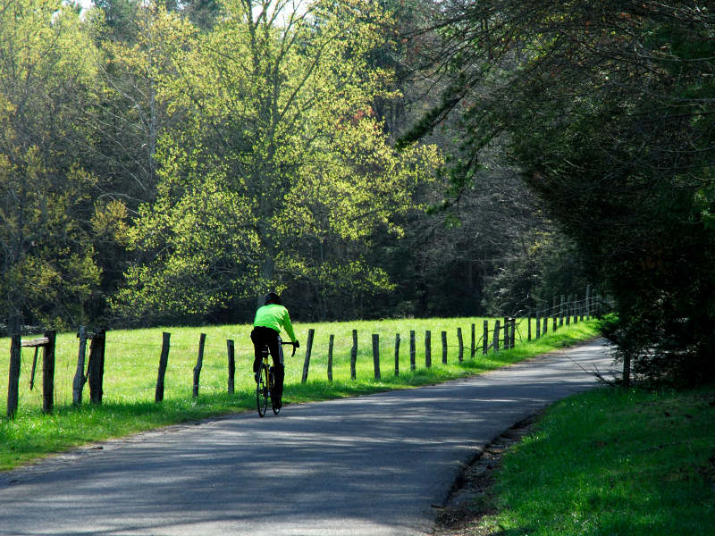 JPG CS Biking Green DSC_1280.jpg