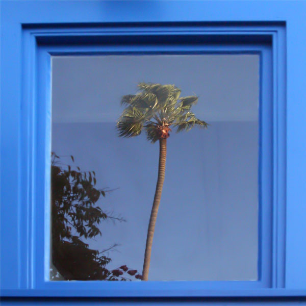 Reflections