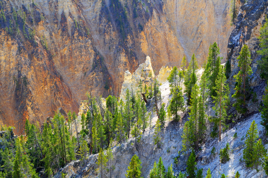 Yellowstone Canyon