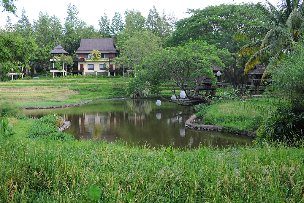 Four Seasons Resort