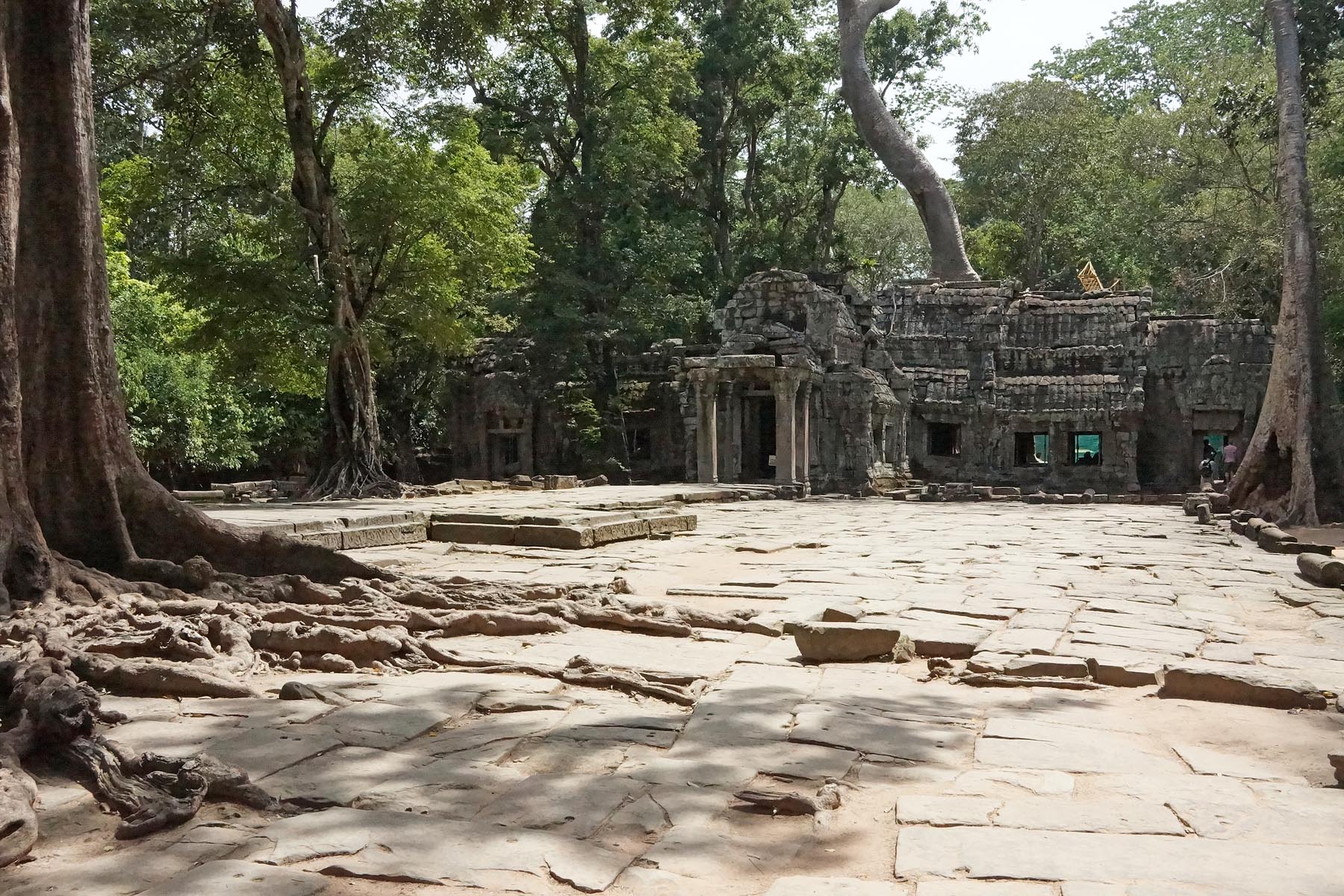 Ta Prohm