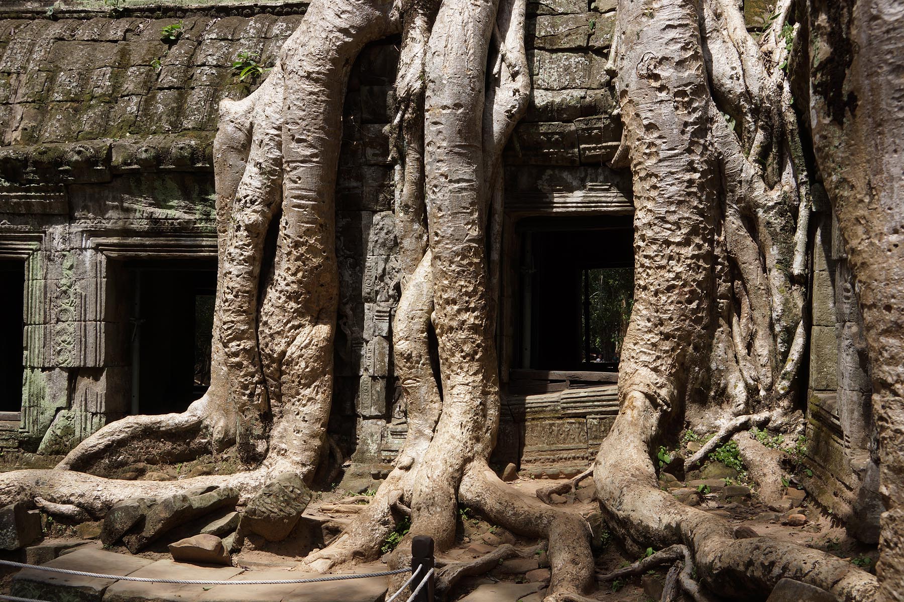 Ta Prohm