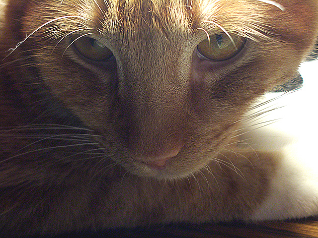 Ready for His Close-up