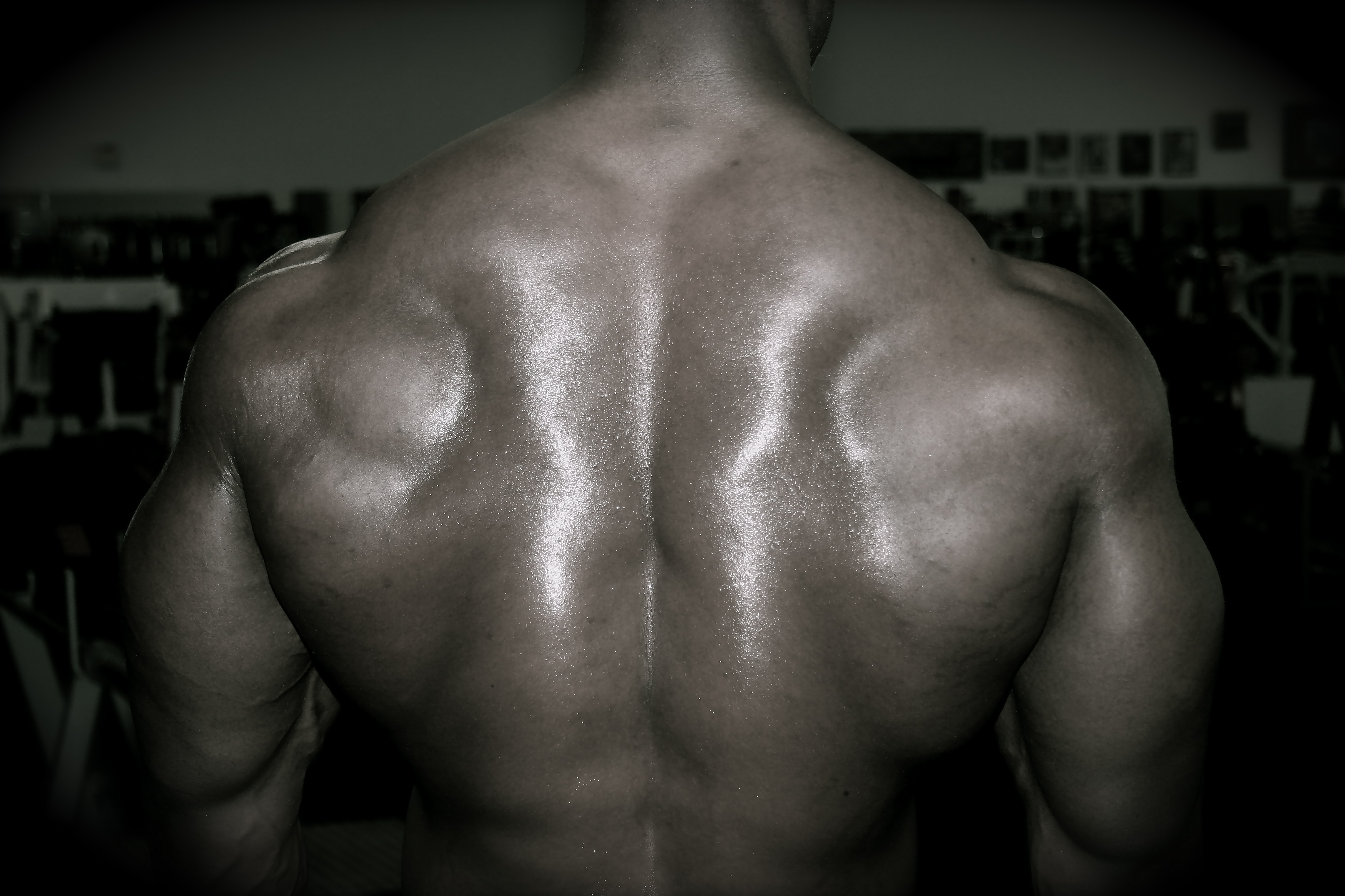 Back Workout