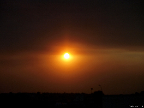 Forest fire filter
