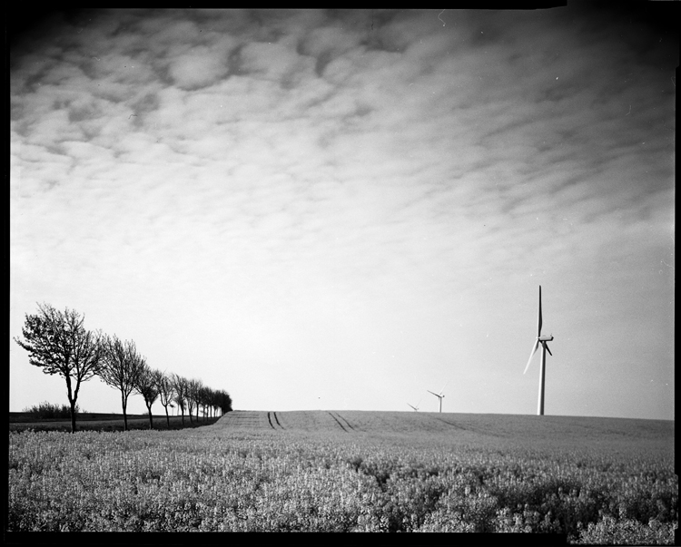 Sustainability, Beussent 2008