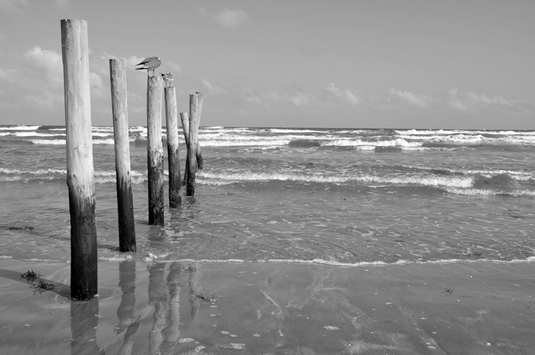 POLES