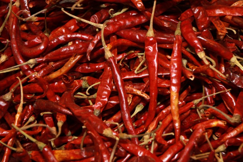 CHILE DE ARBOL