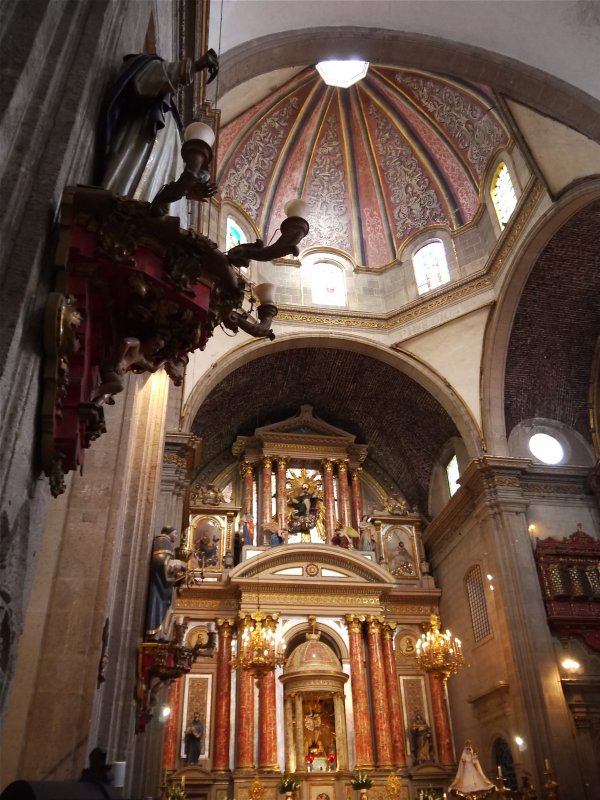 P1000781.jpg