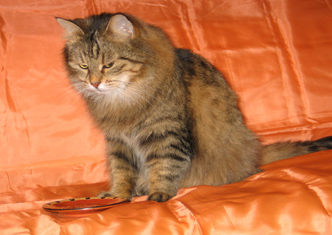 Zemfira Amurskaya.jpg