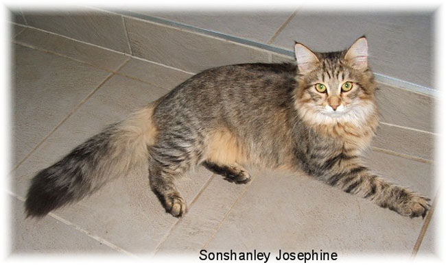 Sonshanley Josephine.jpg