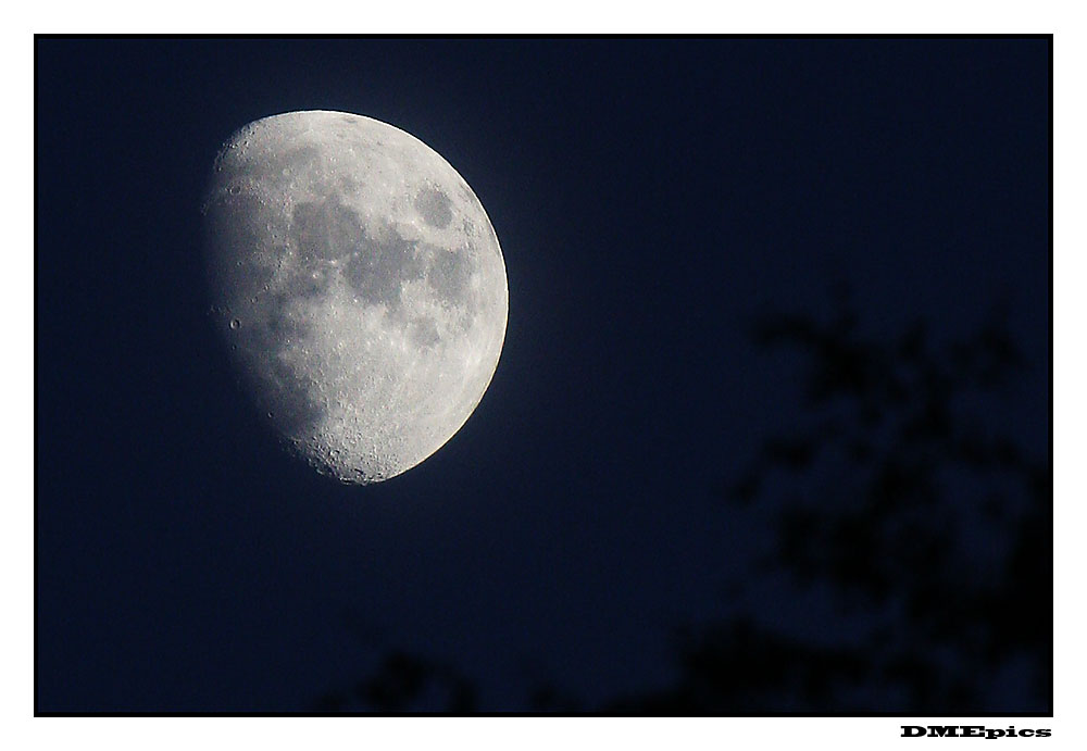moon_7160.jpg