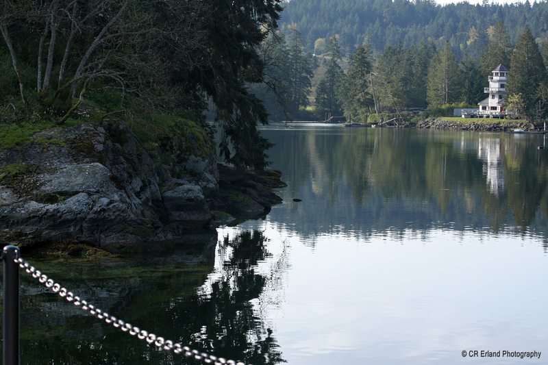 Quiet Moment on Maple Bay