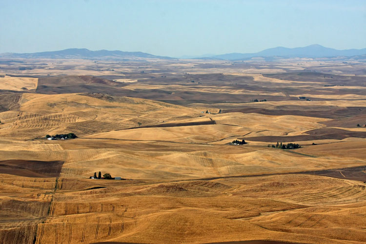 Overview of the Palouse
