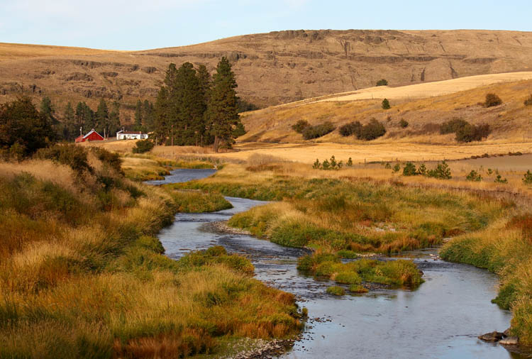 Palouse Ranch Scene