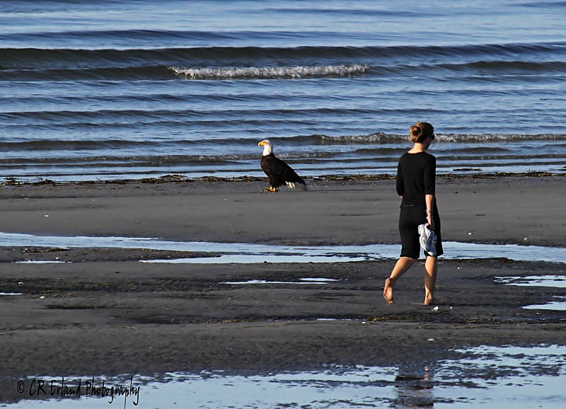 Spring at the Beach