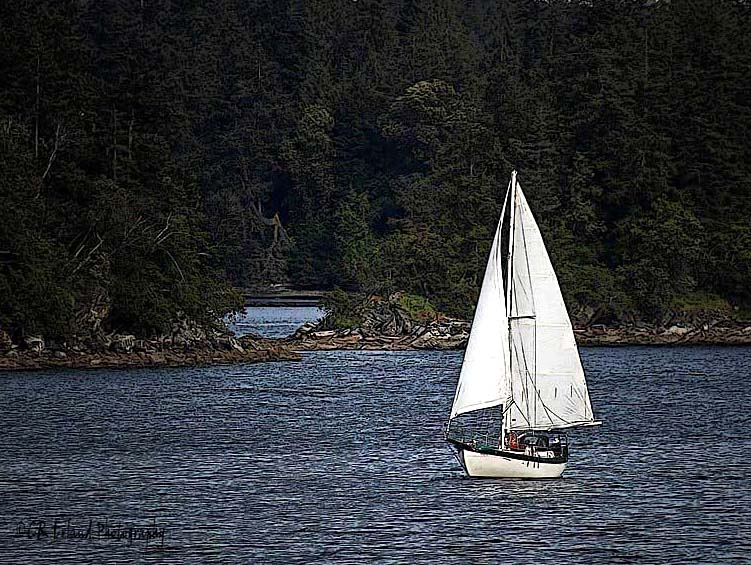 Wind, Water and SailWeek #4 - Water
