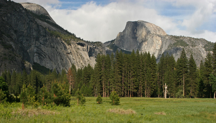 HALF DOME
