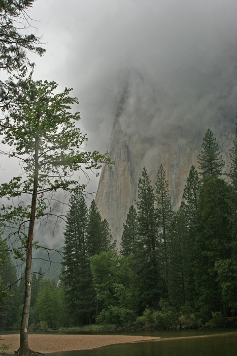 EL CAPITAN IN THE FOG