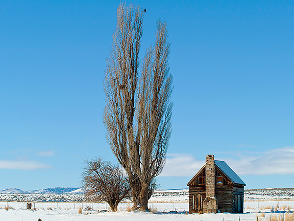 Homestead in Harney, OR