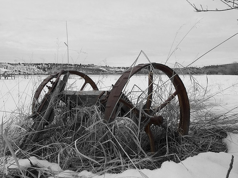 Aw  20110213-_01A0525.jpg