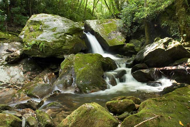 Robinson Creek 1