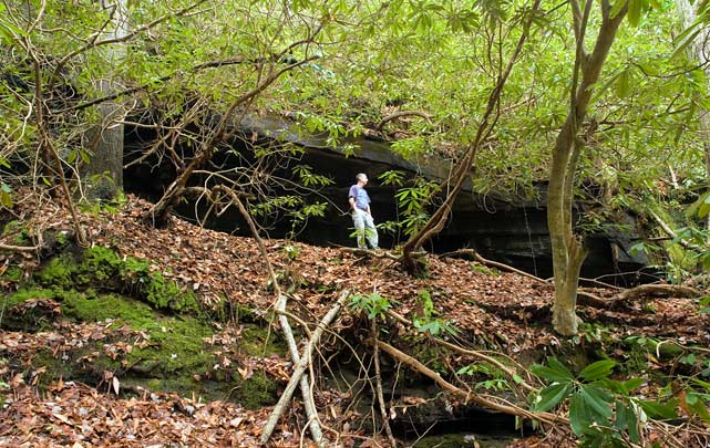 Laurel Creek, SC 4